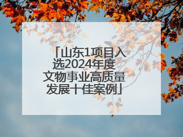 山东1项目入选2024年度文物事业高质量发展十佳案例